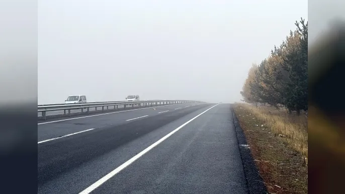 Ardahan'da sis etkili oldu