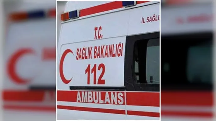 Erzurum'da kardeş cinayeti: Sanığa ağırlaştırılmış müebbet hapis cezası verildi