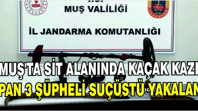 Muş'ta sit alanında kaçak kazı yapan 3 şüpheli suçüstü yakalandı