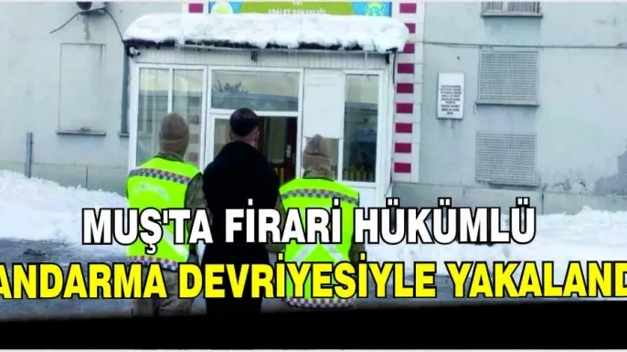 Muş'ta firari hükümlü jandarma devriyesiyle yakalandı
