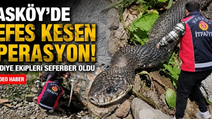 Hasköy’de Nefes Kesen Operasyon!