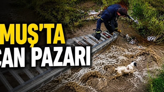 Muş'ta Can Pazarı