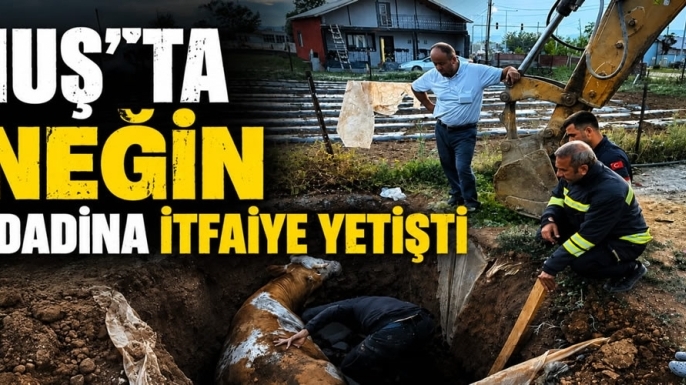 Muş'ta İneğin İmdadına İtfaiye Yetişti