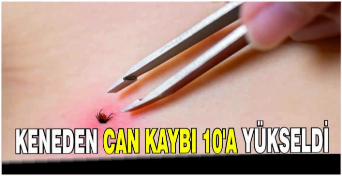 Keneden can kaybı 10'a yükseldi