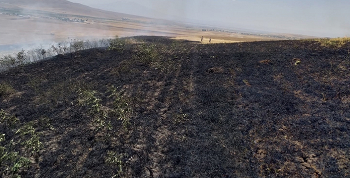 Hasanpaşa köyünde 35 dönüm arpa tarlasında çıkan yangın uzun uğraşlar sonunda kontrol altına alındı