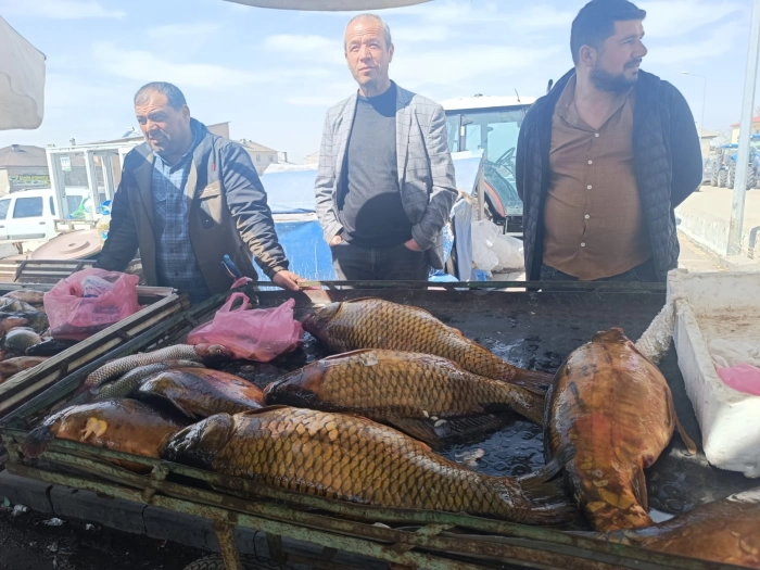 Porshenek jinsiy aloqa