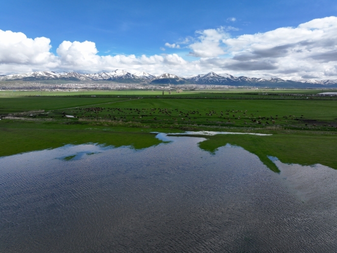 Erzurum\