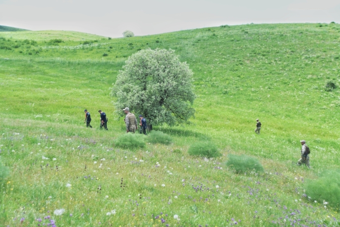 Muş\