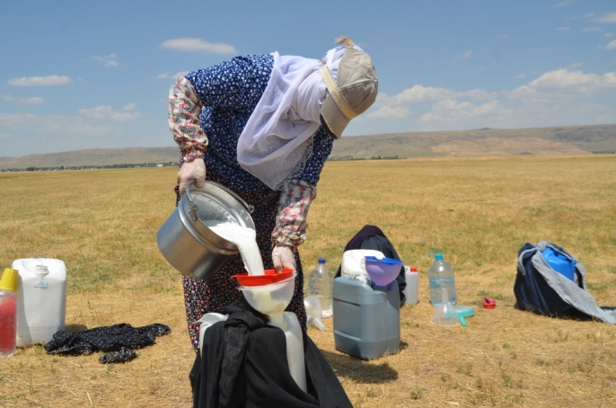 Muş\