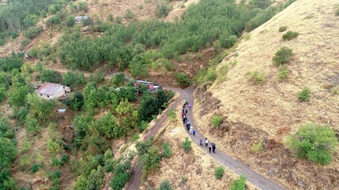 Muş\