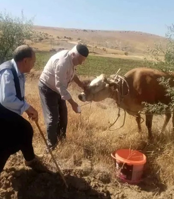 22 gün sonra yakalandı