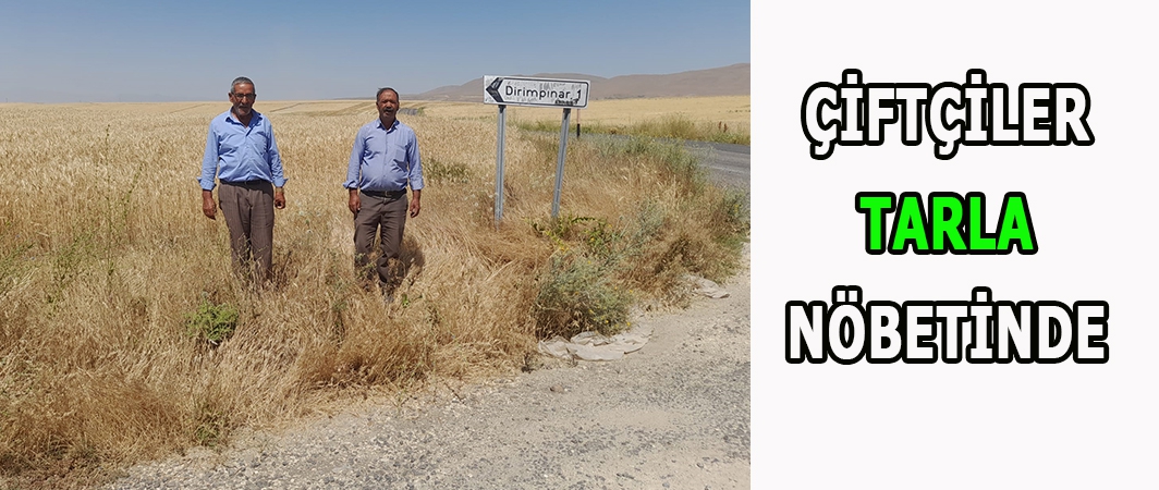 Malazgirt’te çiftçiler bir yıllık emeklerinin ziyan olmaması için nöbete başladı!