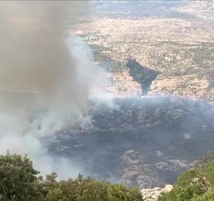 Diyarbakır'da çıkan orman yangını söndürüldü