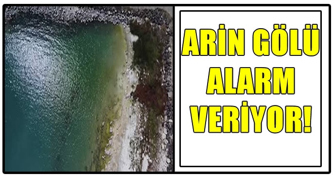Suların çekildiği Arin Gölü'nün kıyıları otlağa dönüştü