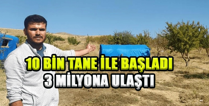10 bin adetle başladı, şimdi sayısı 3 milyonu buldu