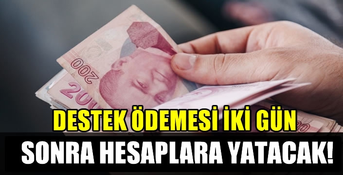 Destek Ödemesi İki Gün Sonra Hesaplara Yatacak! Bakanlık Eylül Ödemelerinin Detaylarını Açıkladı