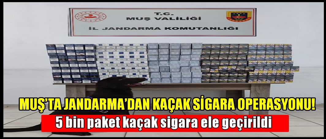Muş’ta Jandarma’dan kaçak sigara operasyonu: Tam 5 bin paket…