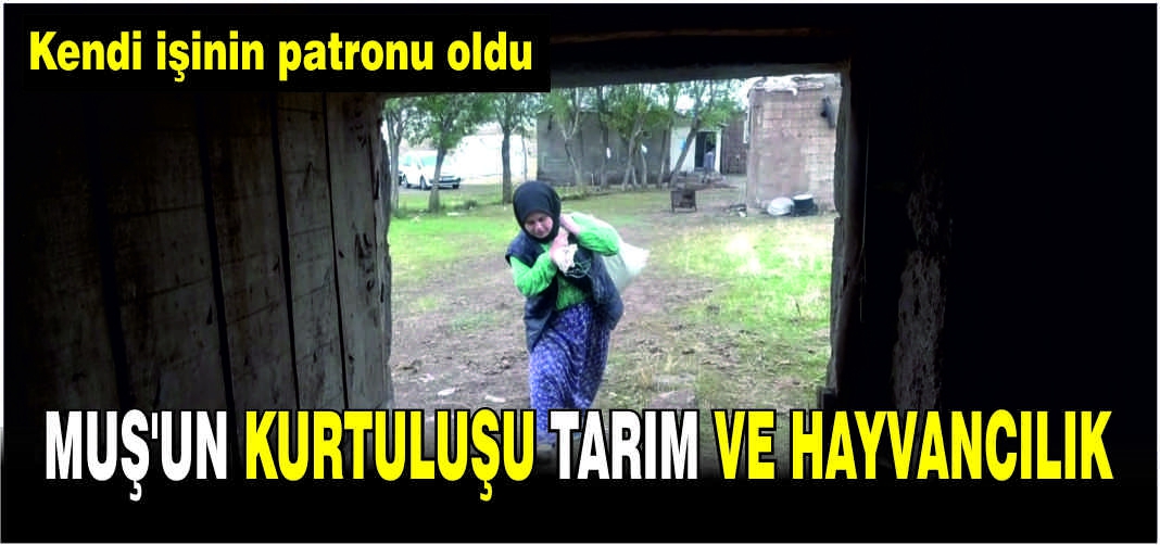 Devlet destek verdi! Kendi işinin patronu oldu: Muş’un kurtuluşu tarım ve hayvancılık