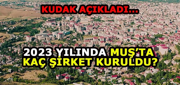KUDAKA İstatistiklerine göre en çok şirket kurulan iller arasında Muş kaçıncı sırada?
