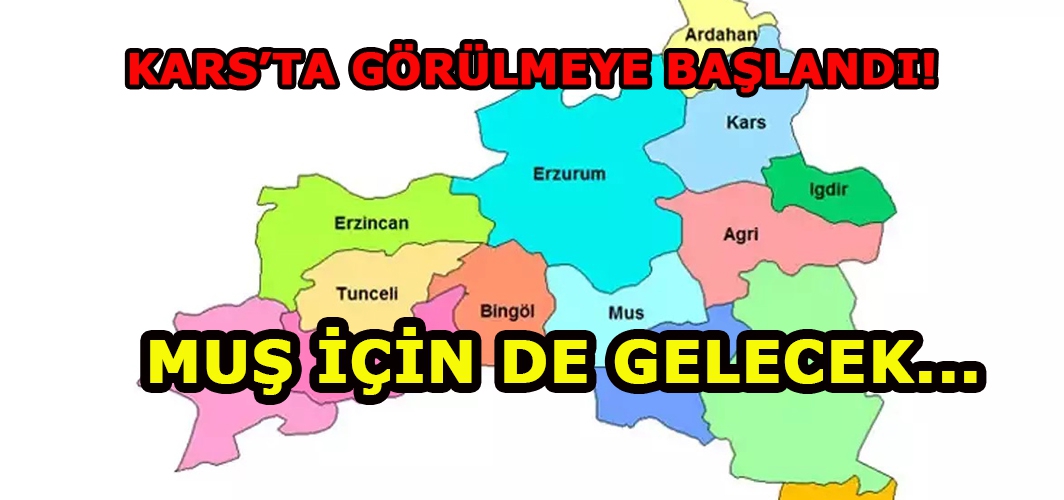Kars'ta görülmeye başlandı: Ardahan, Erzurum, Muş ve Ağrı için de gerekecek!