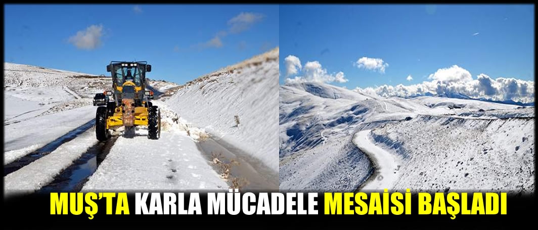 Muş'ta karla mücadele mesaisi başladı