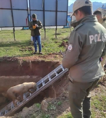 Kuyuya düşen köpeği itfaiye ve polis ekipleri kurtardı