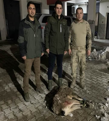 Yaban keçisi avlayan 2 kişinin cezası ağır oldu!
