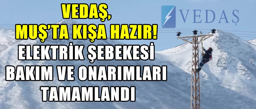 VEDAŞ, Muş’ta kışa hazır! Elektrik şebekesi bakım ve onarımları tamamlandı