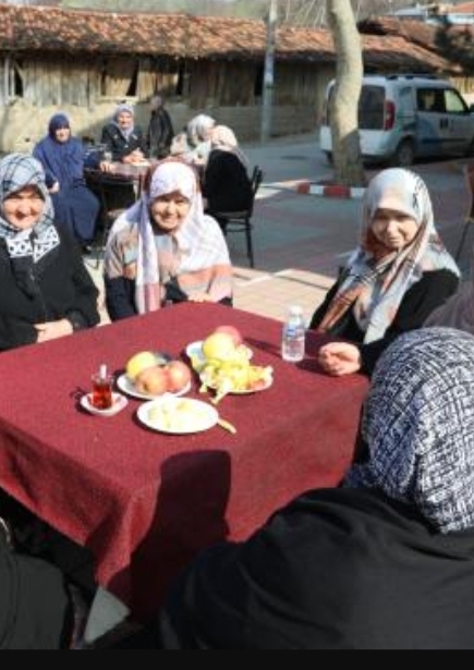 Bursa'daki kırsal mahallede erkekler evde oturdu, kahvehane kadınlara kaldı