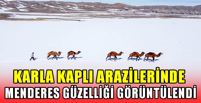 karla kaplı arazilerinde menderes güzelliği görüntülendi