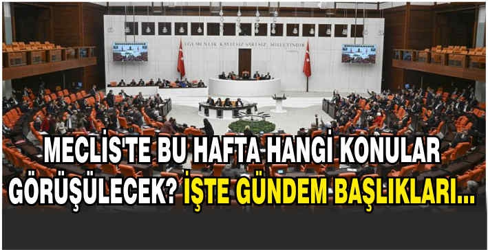 Meclis'te bu hafta hangi konular görüşülecek? İşte gündem başlıkları...