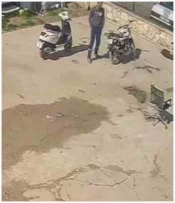 Köpeğe işkence eden kişiye ödül gibi ceza!