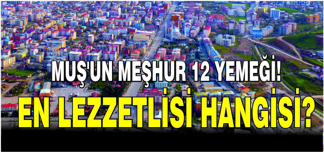 Muş’un meşhur 12 yemeği! En lezzetlisi hangisi?