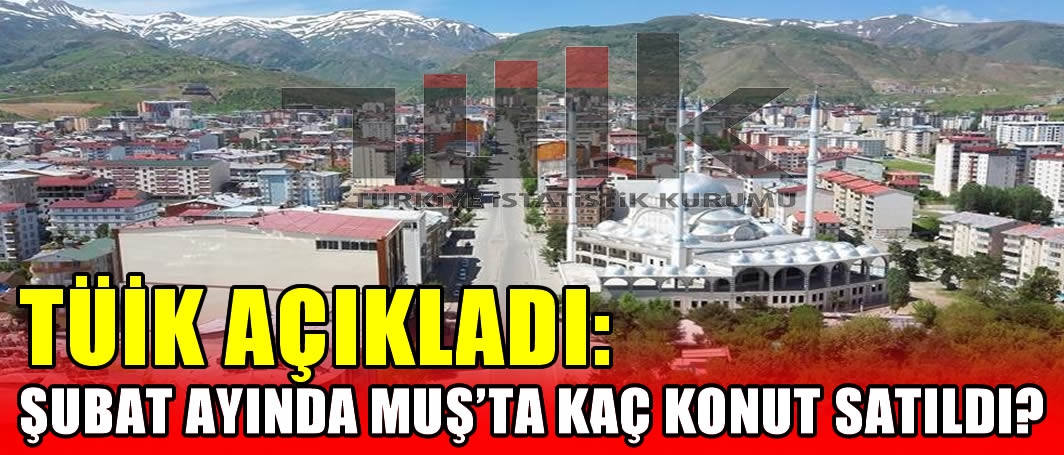 TÜİK açıkladı: Şubat ayında Muş’ta kaç konut satıldı?