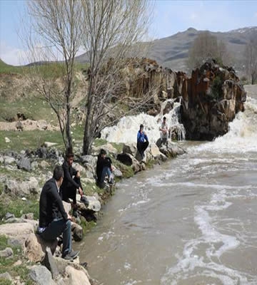 Bu yıl inci kefalleri