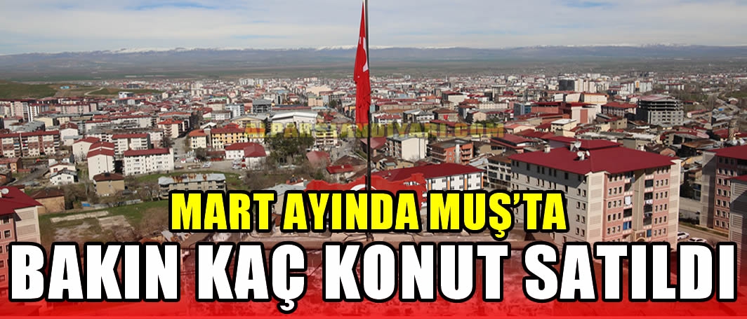 Mart ayında Muş’ta bakın kaç konut satıldı