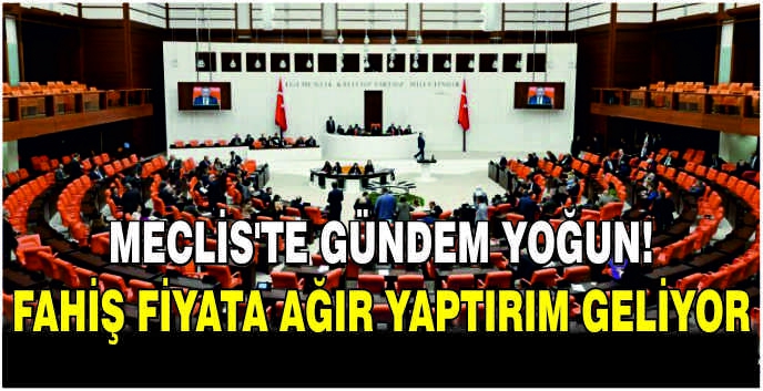 Meclis'te gündem yoğun: Fahiş fiyata ağır yaptırım geliyor