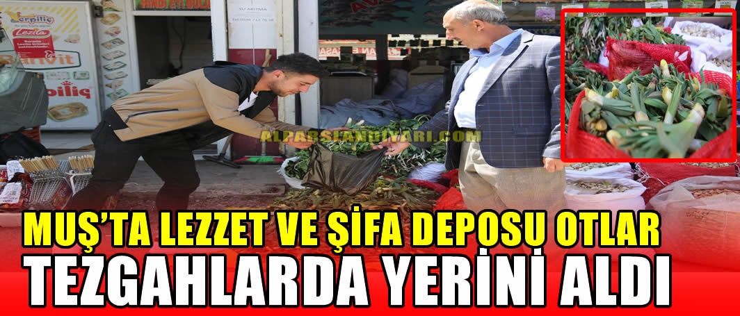 Virtual jinsiy aloqani onlayn tomosha qiling