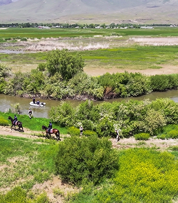 Jandarma ekipleri inci kefalleri için mesaide