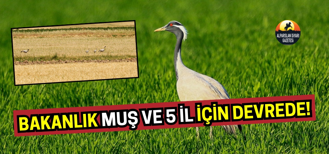 Tarım ve Orman Bakanlığı Muş ve 5 il için harekete geçti!