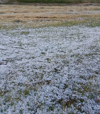 Ağrı'da dolu tarım arazilerine zarar verdi