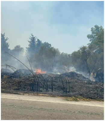 Antalya'da yerleşim yerleri yakınında yangın