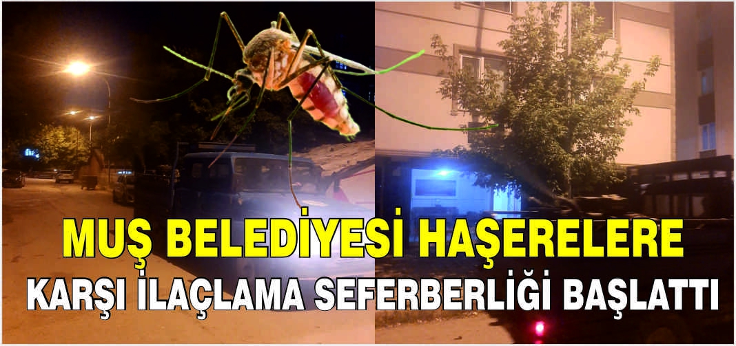 Muş Belediyesi haşerelere karşı ilaçlama seferberliği başlattı