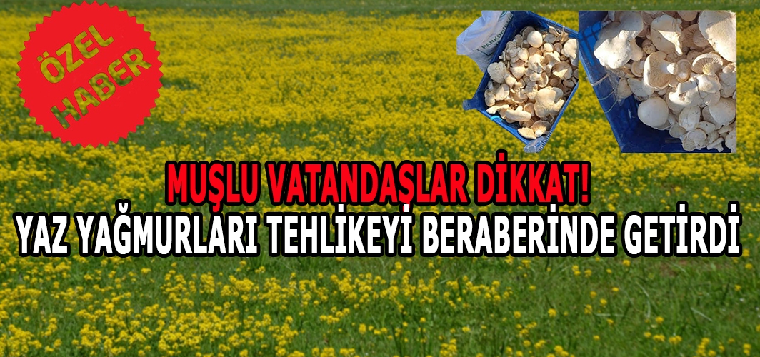 Muşlu vatandaşlar dikkat! Yaz yağmurları tehlikeyi beraberinde getirdi!