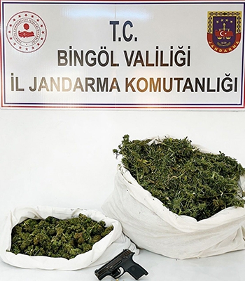 Bingöl'de 12 kilo 460 gram esrar ele geçirildi