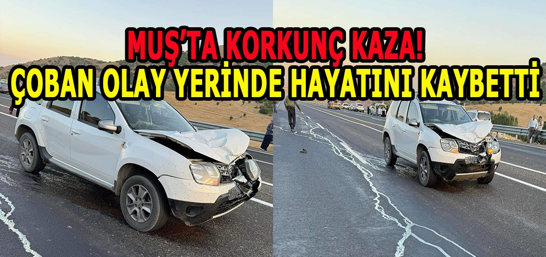 Muş’ta korkunç trafik kazası: Çoban olay yerinde hayatını kaybetti!