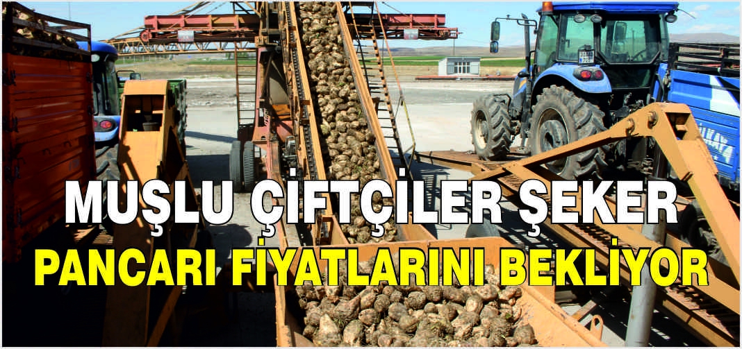 Muşlu çiftçiler şeker pancarı fiyatlarını bekliyor