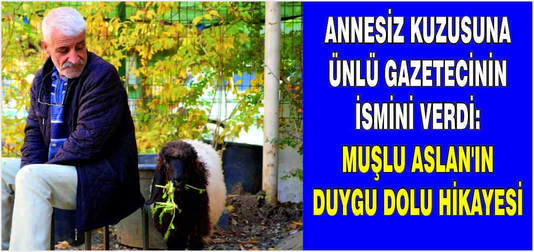 Annesiz kuzusuna ünlü gazetecinin ismini verdi: Muşlu Aslan'ın duygu dolu hikayesi