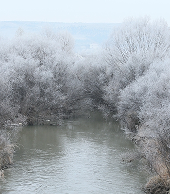 Kars ve Ardahan'da soğuk hava yaşamı olumsuz etkiliyor