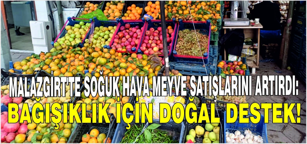 Malazgirt'te soğuk hava meyve satışlarını artırdı: Bağışıklık için doğal destek!